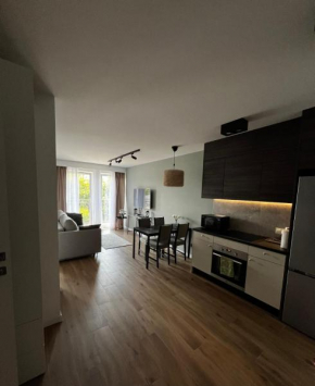 Przytulny Apartament w samym centrum